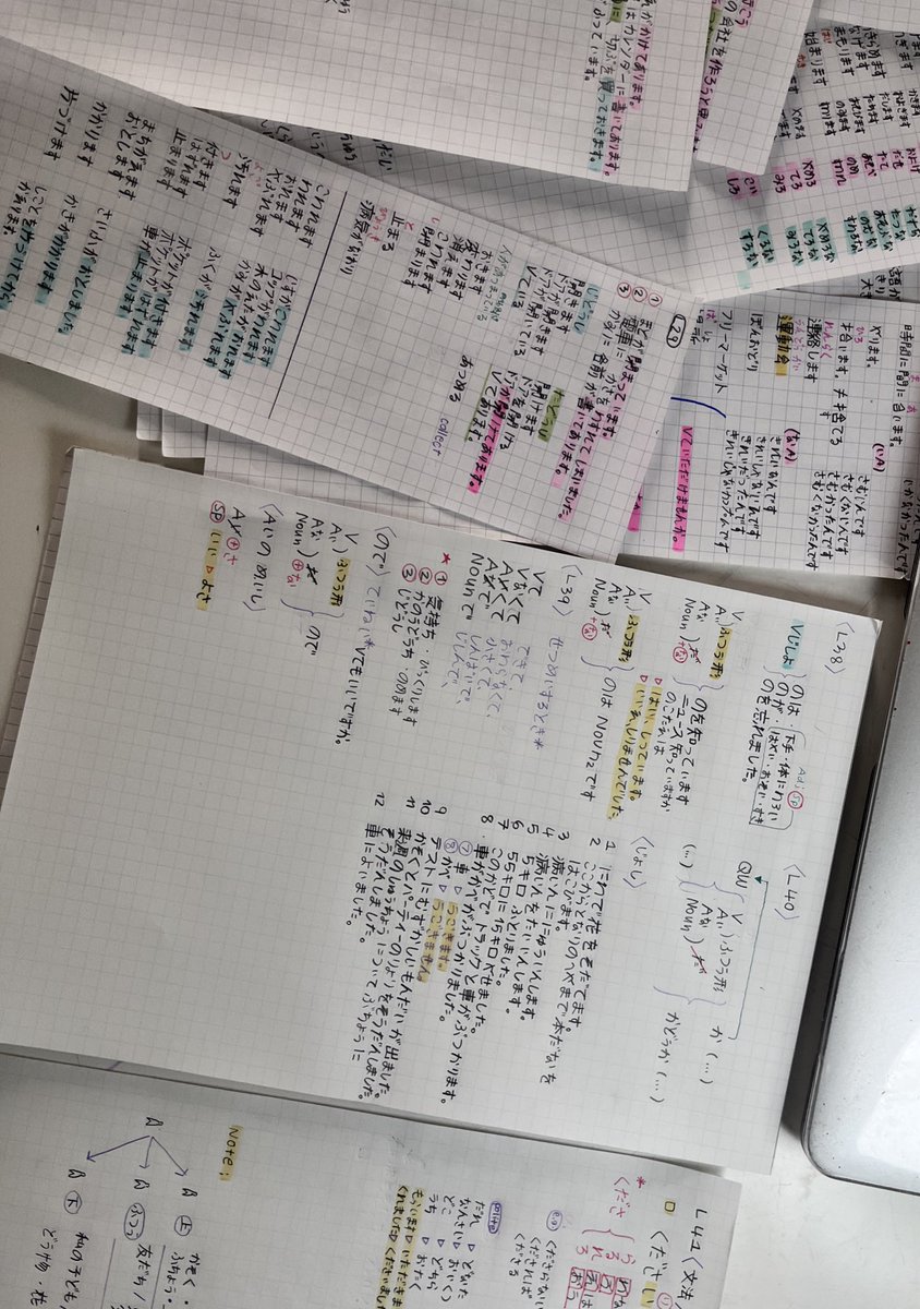 Loli • ロリ🌳💭 tweet media