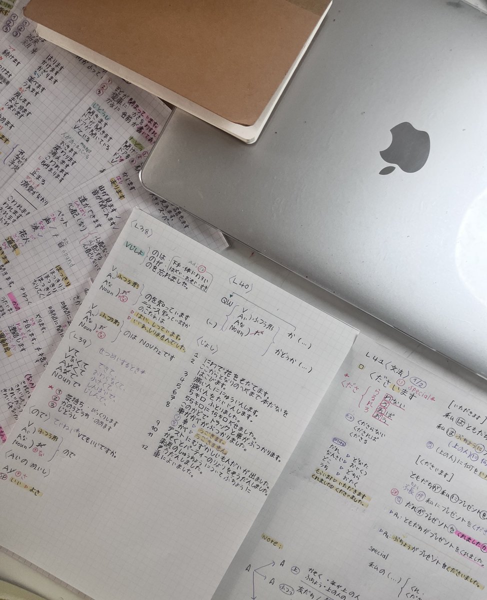 Loli • ロリ🌳💭 tweet media