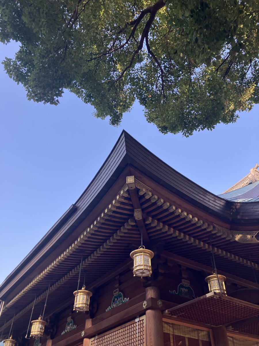 hasapa2's tweet photo. 今日は暖かったので湯島天神で梅を見てきました。 https://t.co/roHl4mk8e5