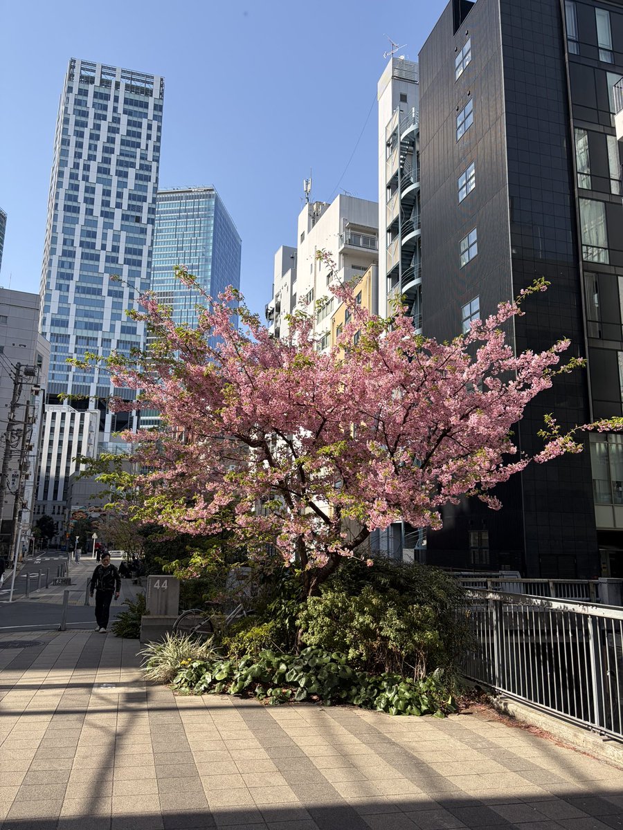 SxLj9bmrk's tweet image. 🐼3/1(日)PANDAMIC不定期公演「パンダらの箱」🐼
🏰渋谷 CLUB CRAWL
PANDA劇場最終回🐼
容疑者のアリバイ完璧！コナンも真っ青の裕菜探偵！ファンに配られたカードに🐖が記載されていれば犯人？いない🧐興味深い🤫
楽曲ベストセブン😆
きらり光る👍KTT落選😢来週ラストライブ応援します。

#PANDAMIC