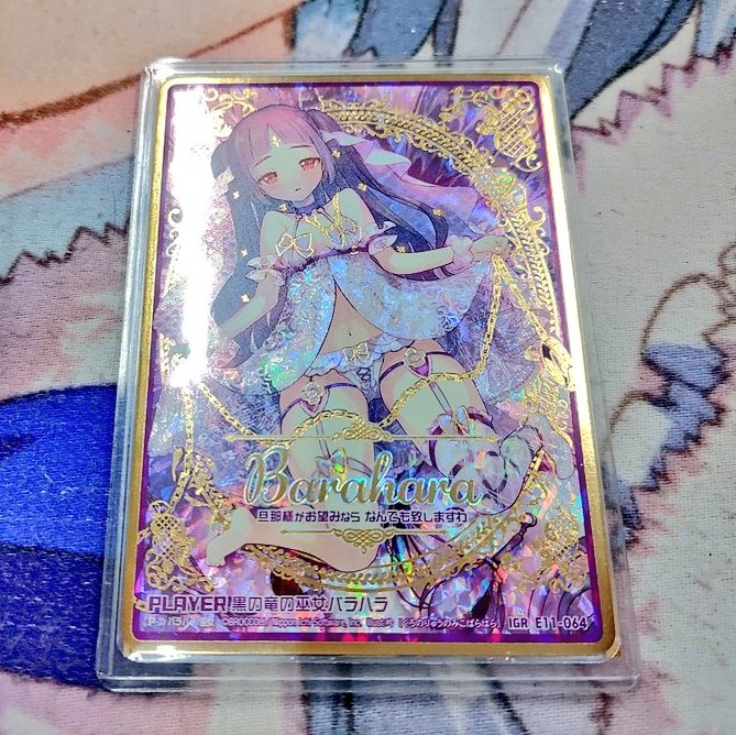 そこそこRPとかあったんで、改めて正式に募集 提供)E11-064 黒の竜の