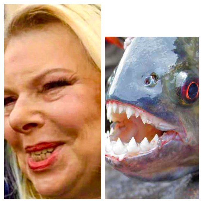 Baruch Sharon tweet media