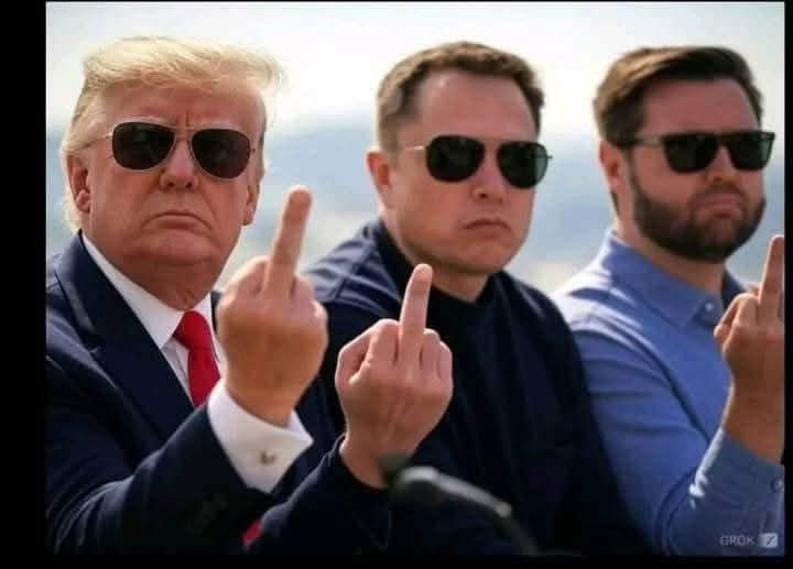 D Brook Wardle tweet media