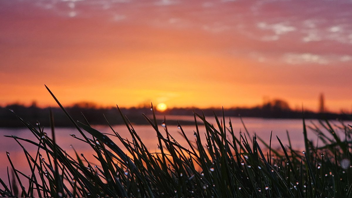 Motormiss's tweet image. De zonzorgde weer voor prachtige kleuren voor zijn opkwam. Er was zelfs een zonnezuil (foto 1), maar ook glinsterende druppeltjes aan het gras en aan de sneeuwklokjes langs de dijk.  Mijn zondag begon goed! 
#Andel #Altena #afgedamdemaas #zonsopgang #zonnezuil #sneeuwklokjes