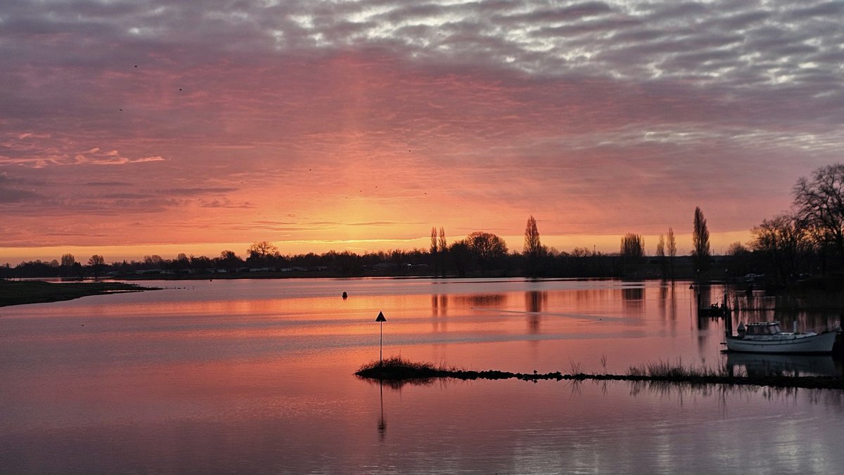 Motormiss's tweet image. De zonzorgde weer voor prachtige kleuren voor zijn opkwam. Er was zelfs een zonnezuil (foto 1), maar ook glinsterende druppeltjes aan het gras en aan de sneeuwklokjes langs de dijk.  Mijn zondag begon goed! 
#Andel #Altena #afgedamdemaas #zonsopgang #zonnezuil #sneeuwklokjes