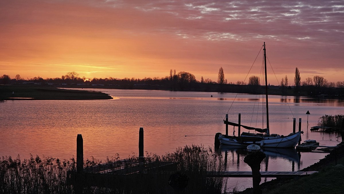 Motormiss's tweet image. De zonzorgde weer voor prachtige kleuren voor zijn opkwam. Er was zelfs een zonnezuil (foto 1), maar ook glinsterende druppeltjes aan het gras en aan de sneeuwklokjes langs de dijk.  Mijn zondag begon goed! 
#Andel #Altena #afgedamdemaas #zonsopgang #zonnezuil #sneeuwklokjes