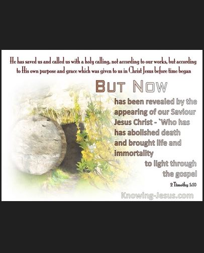 Michael65413248's tweet image. 01Mar26 #2ndSundayOfLent #MassReadings
bible.usccb.org/bible/readings…
Saints’ Commentaries
#2Timothy1:8b-10 #StThomasAquinas
aquinas.cc/la/en/~2Tim.C1…
#Matthew17:1-9 #CatenaAurea
ecatholic2000.com/catena/untitle…
Past work
emmanuel-maria.biz/index_files/Pa…
Sending Peace, Love &amp;amp; Joy to You from #Singapore!