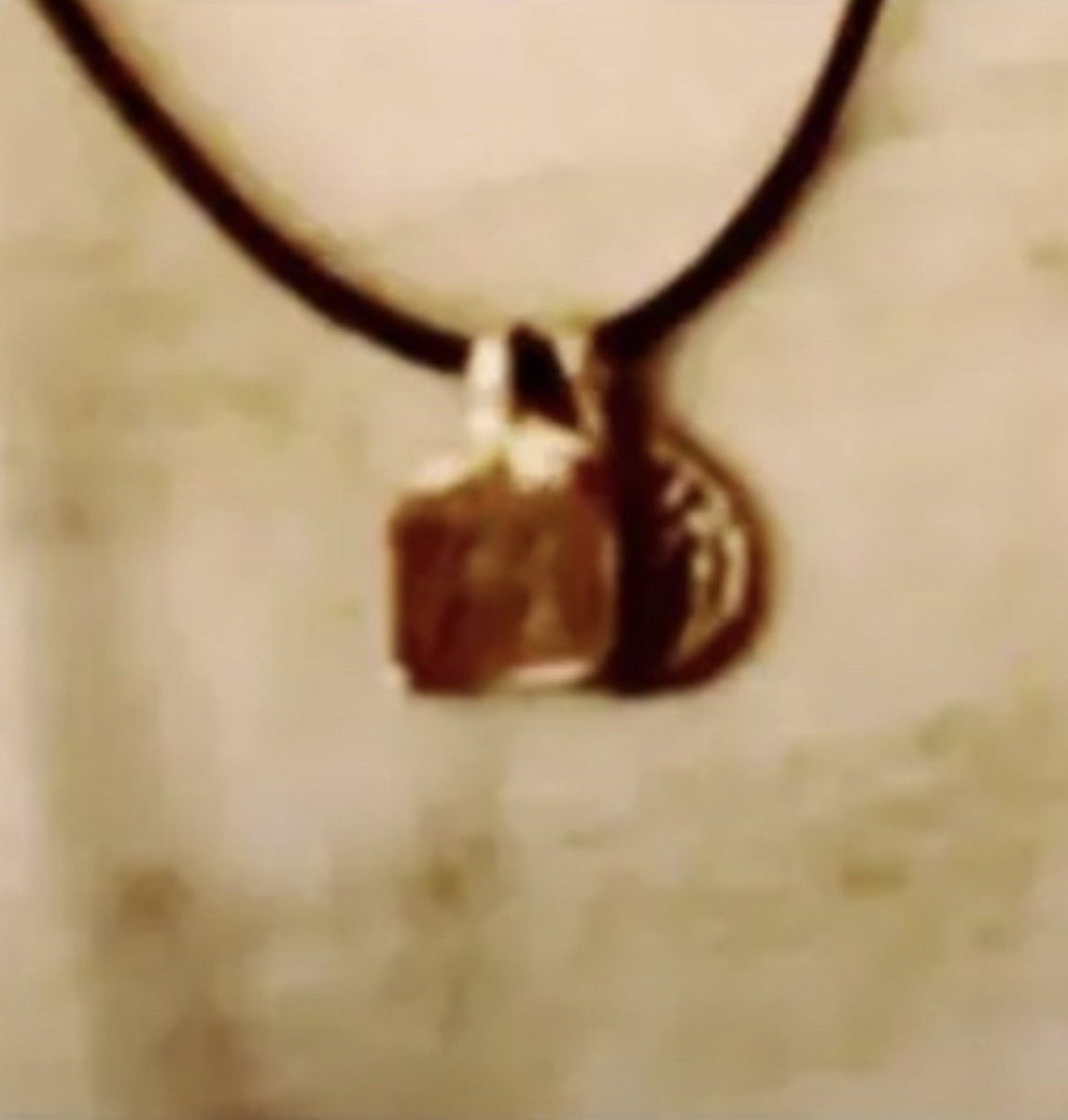 charlee 🐞 tweet media