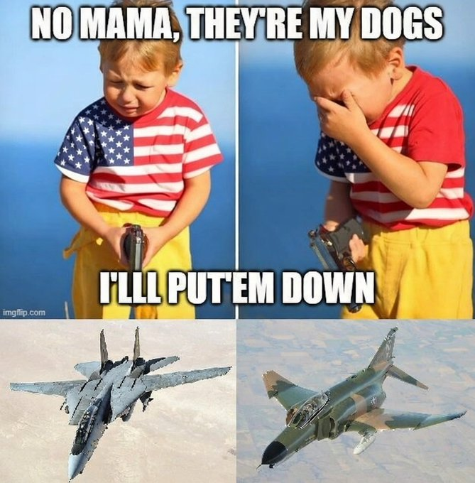 FrumpyFurling tweet media