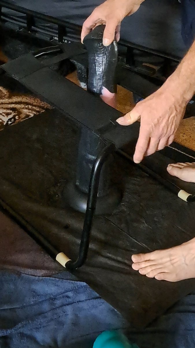 Horsedildo tweet media