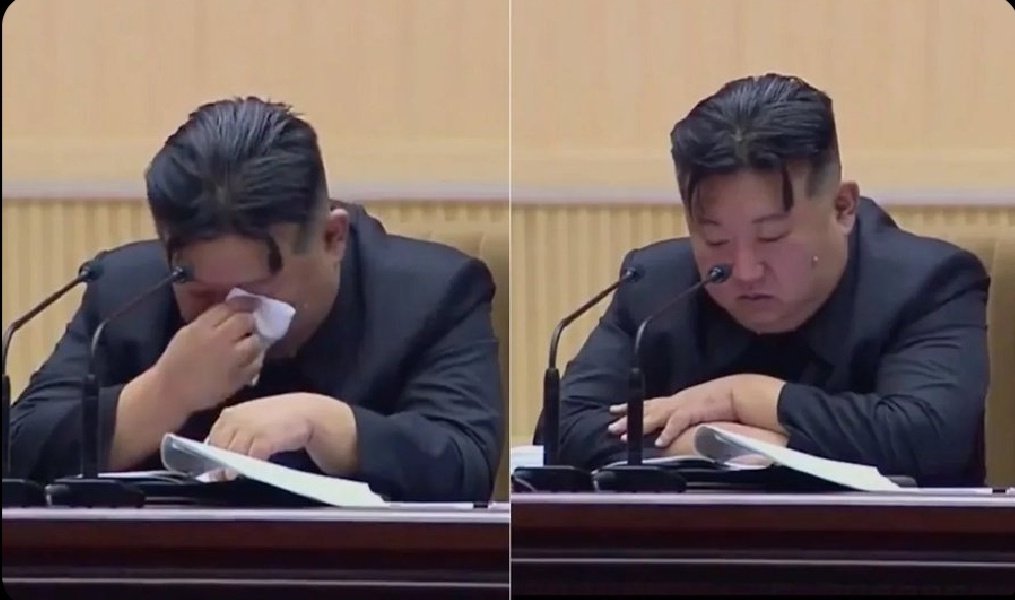 MAGŊA♟️ tweet media