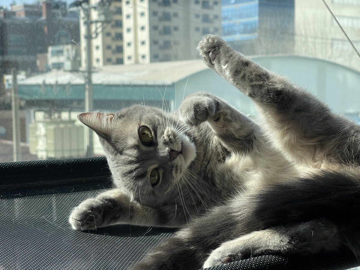 🕯️시옌🎗 (@siyen_y) on Twitter photo 