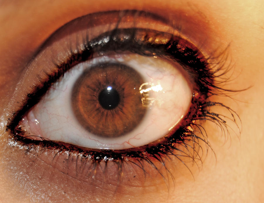 Ana Gabriela tweet media