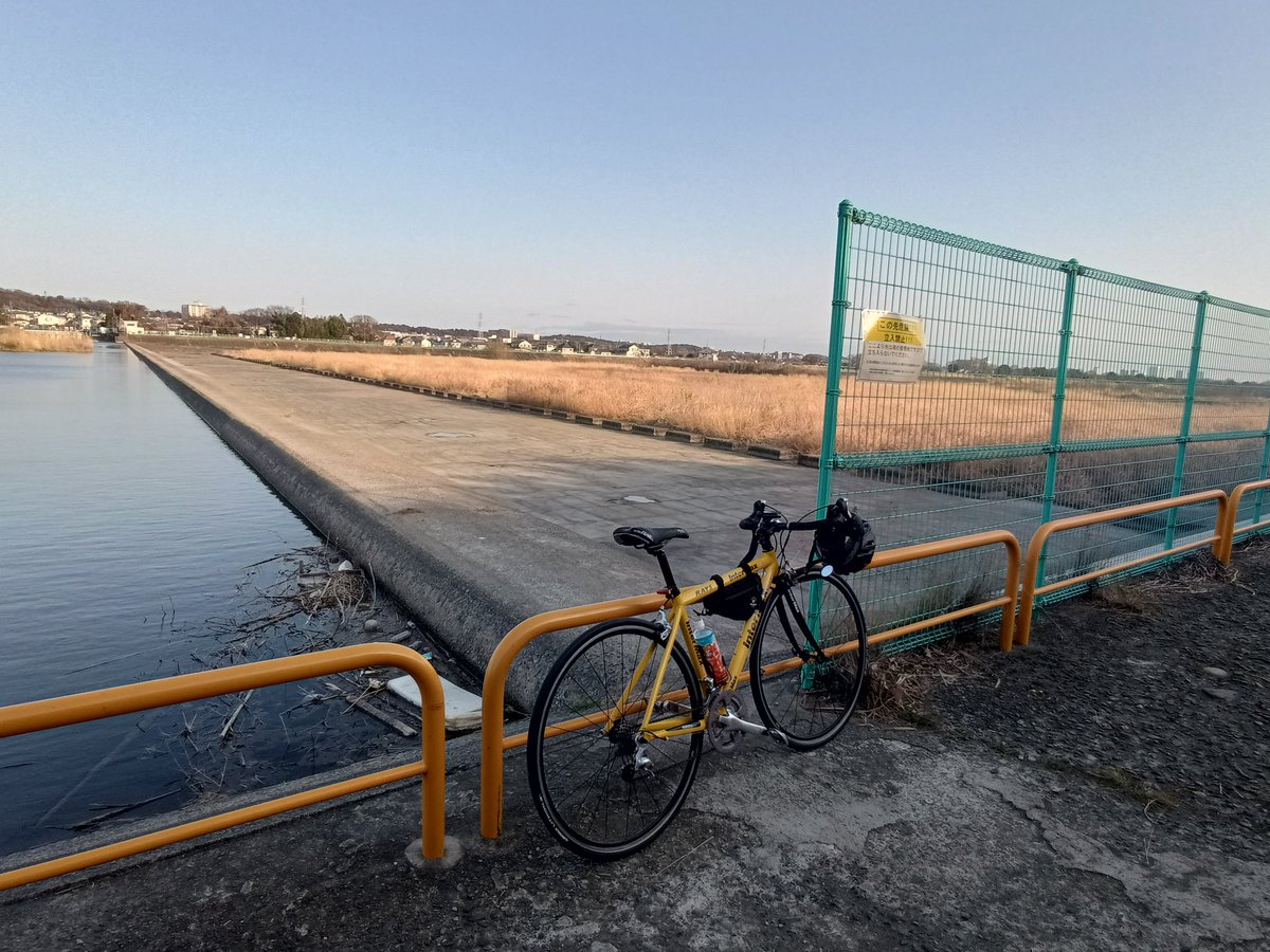 ニシム・ラディン tweet media