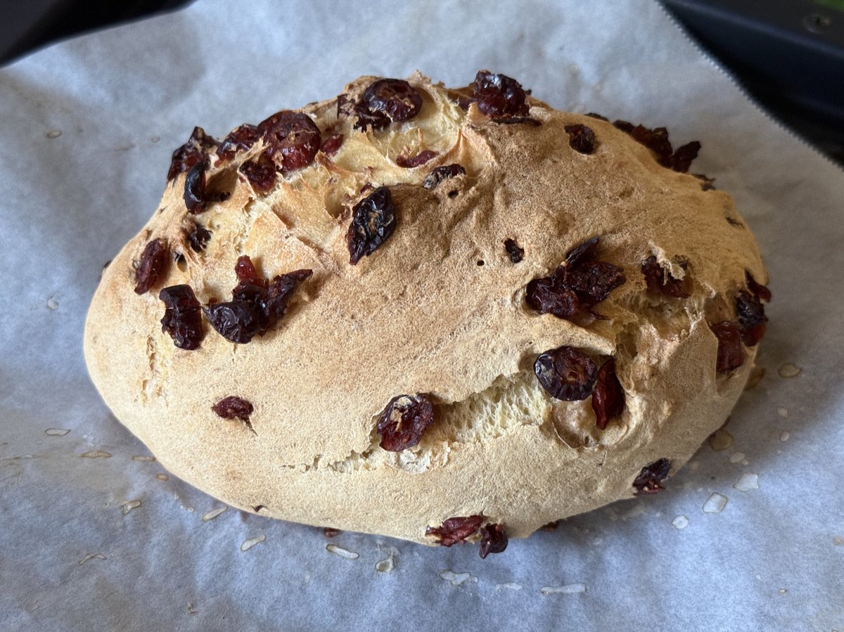 やば、2月パン1回も作ってなかったいつもレーズンだけど