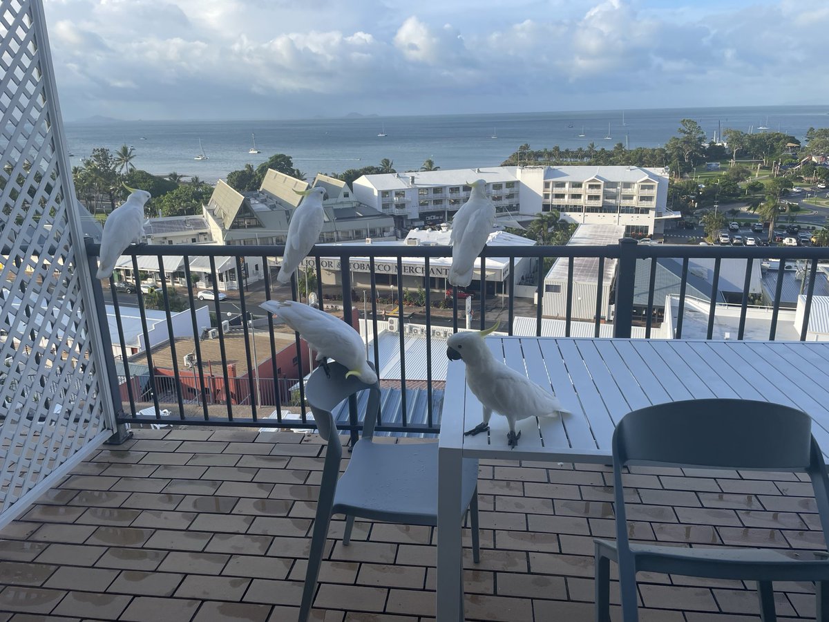 Mike Jones tweet media