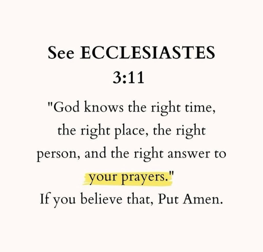 Holy Bible tweet media