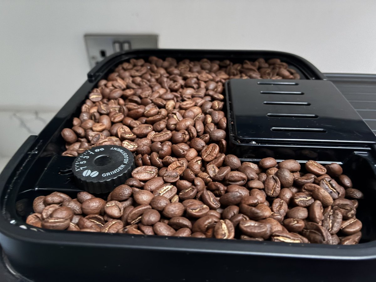 Mr_B_PE_v2 tweet media