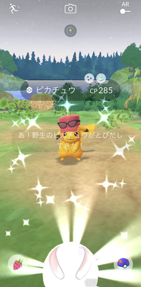 ぽけピン@ポケモンピンズ集める人＆ポケパークカントーのピンズ集める