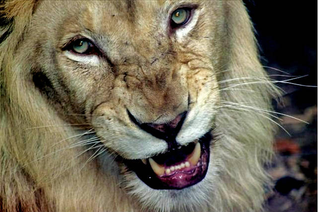 Ana Gabriela tweet media