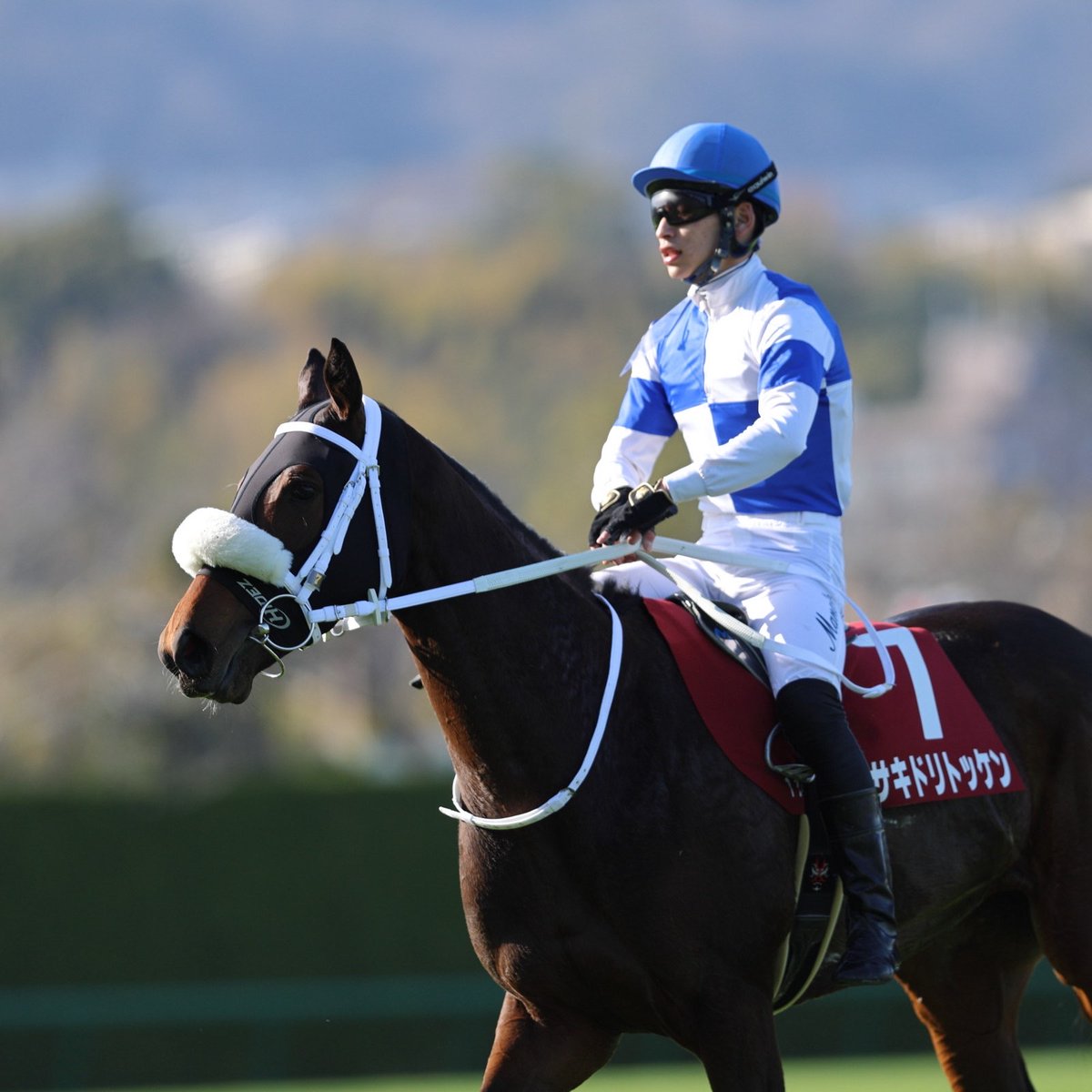競馬 競馬 勝負服③ 競馬 勝負服 勝負服② 勝負服 競馬 競馬勝負