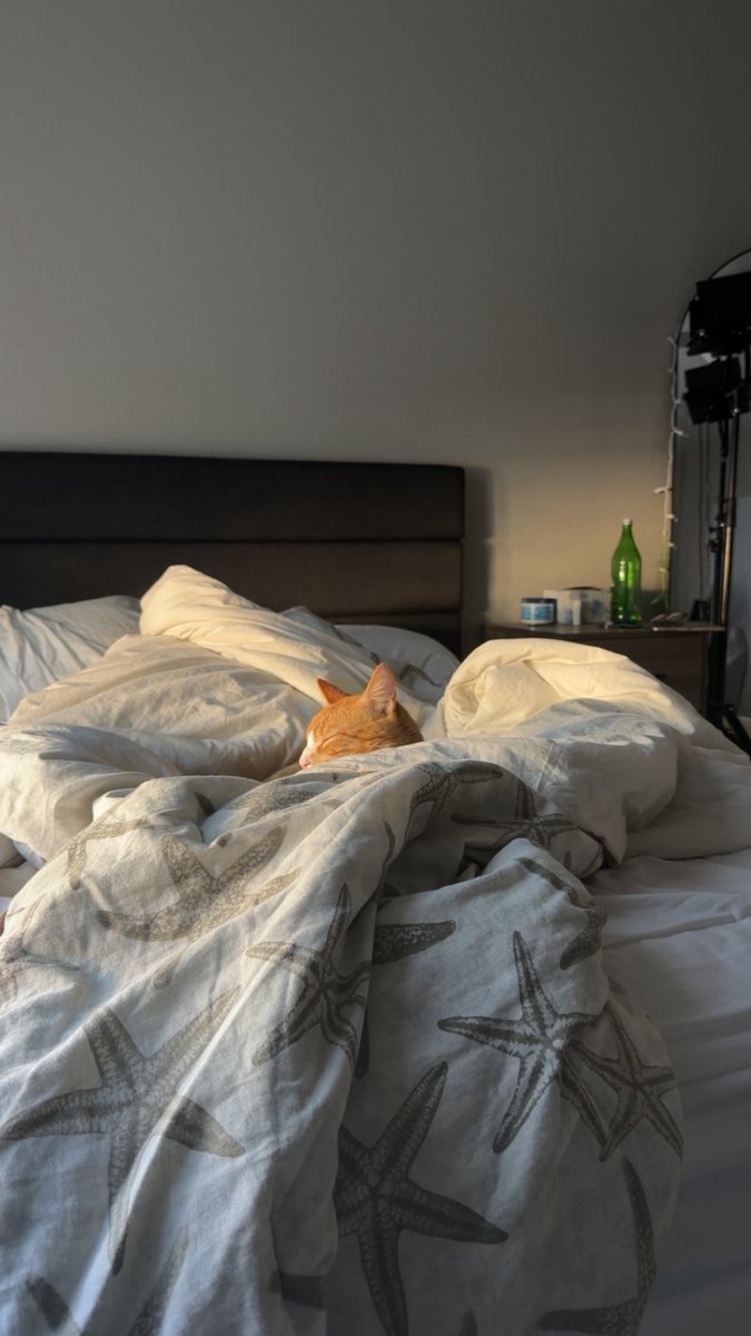 alex kadison tweet media