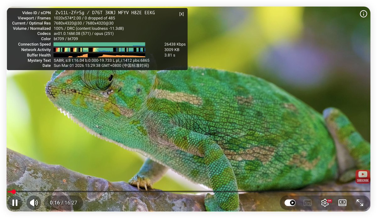 Bob_Dreamer tweet media