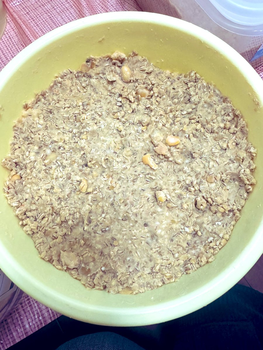 大豆の潰しが甘すぎるところがあるけどまぁいいか🥹今年は麦麹で仕込ん