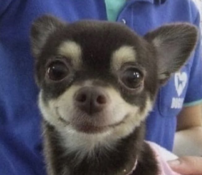 햄벅🍔 tweet media