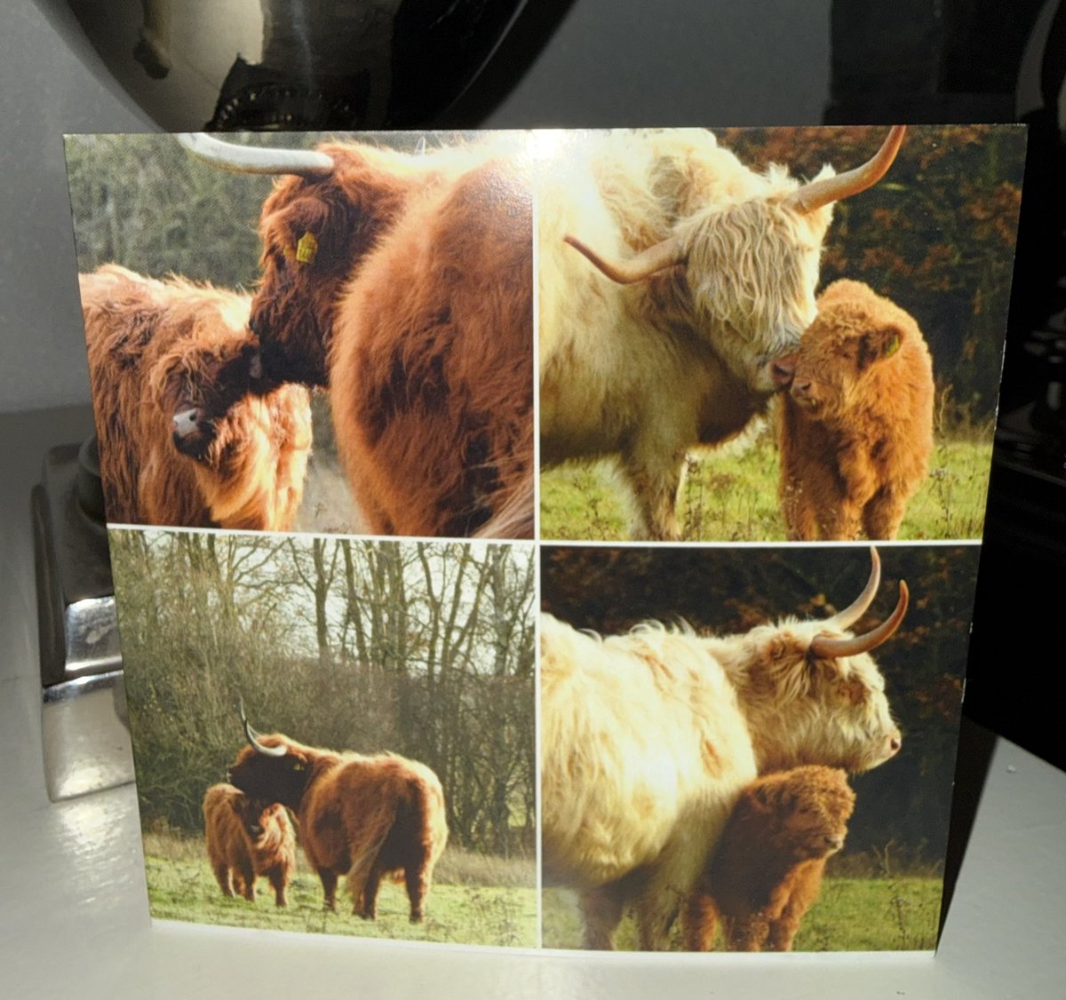 Goedemorgen,
Ik heb weer mooie kaarten ontvangen.
Dankjewel lieve dames.
<a href="/maryvanderes/">Mary van der Es</a> 
<a href="/MRTfotografie/">Marianne Rouwendal🌿</a> 
<a href="/jannekevdwal56/">Janneke van der Wal</a> 

#echtepostisleuk
Fijne zaterdag