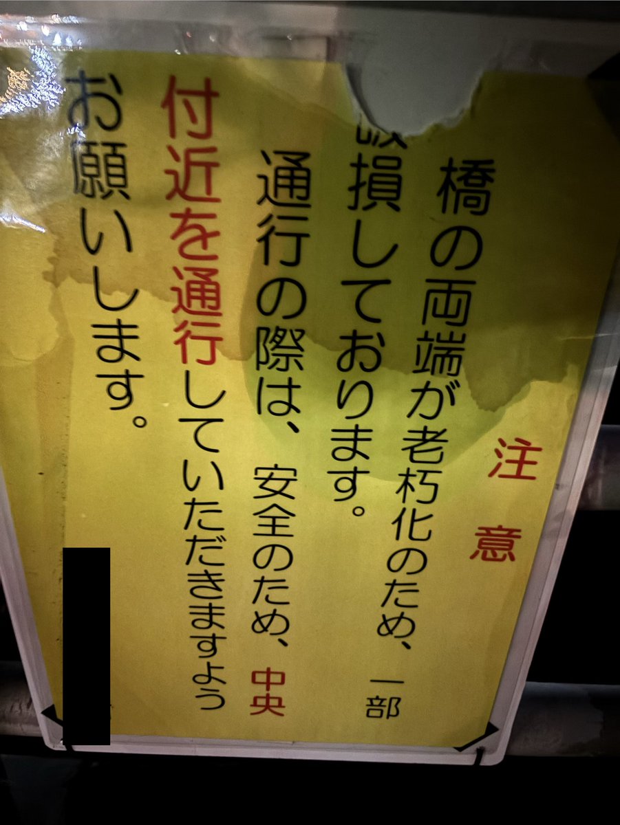 のいない tweet media