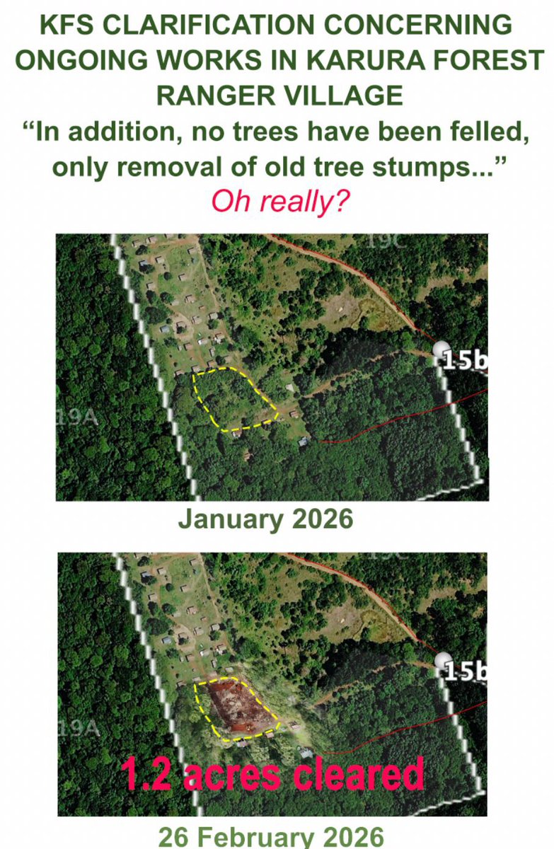 Mathare Social Justice Centre (MSJC) tweet media