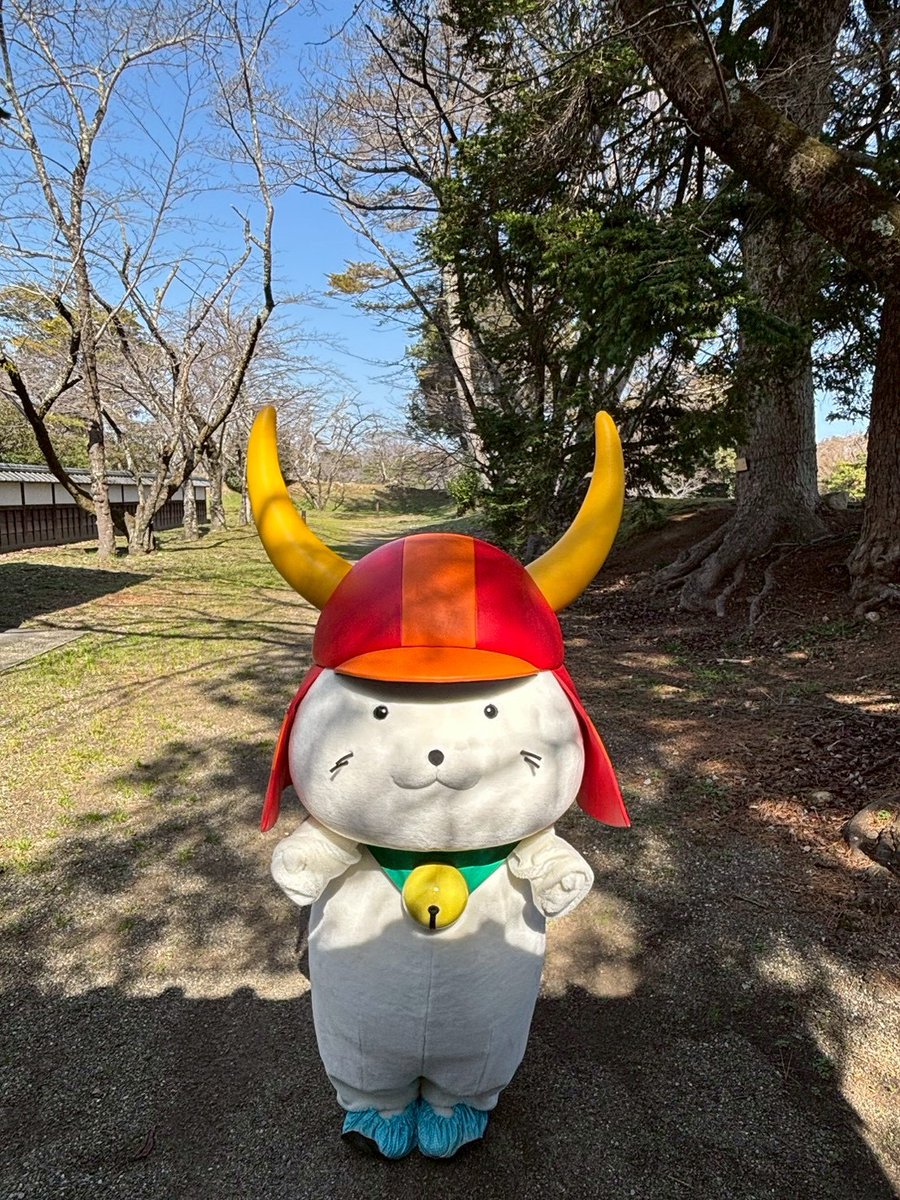 本日の #ひこにゃん 殿は、なんだかいつもより気合いが入っておられる