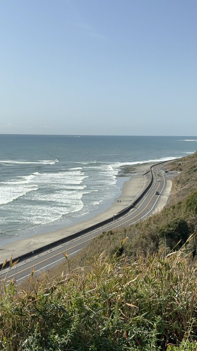 みーこ(ねぼすけ） tweet media