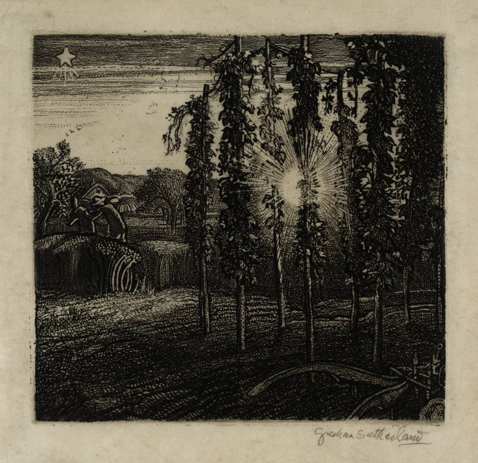 Graham Sutherland tweet media