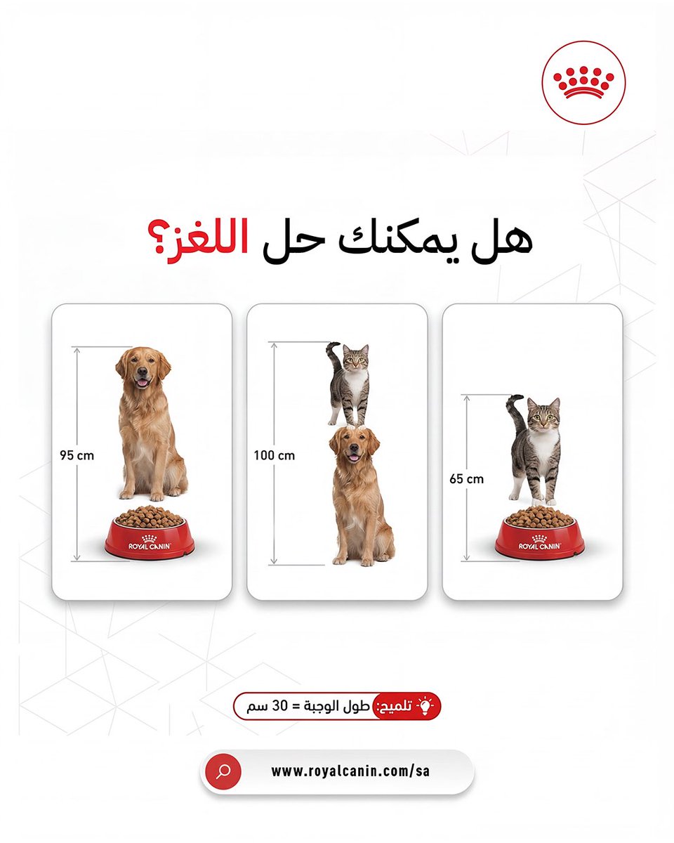 كم تتوقع طول الكلب والقط في الصورة؟ 
شاركنا توقعك في التعليقات 😉🐾
 #رويال_كانين 

Can you guess the height of the dog and cat in the picture?
 Tell us in the comments 😉🐾
 #RoyalCaninKSA