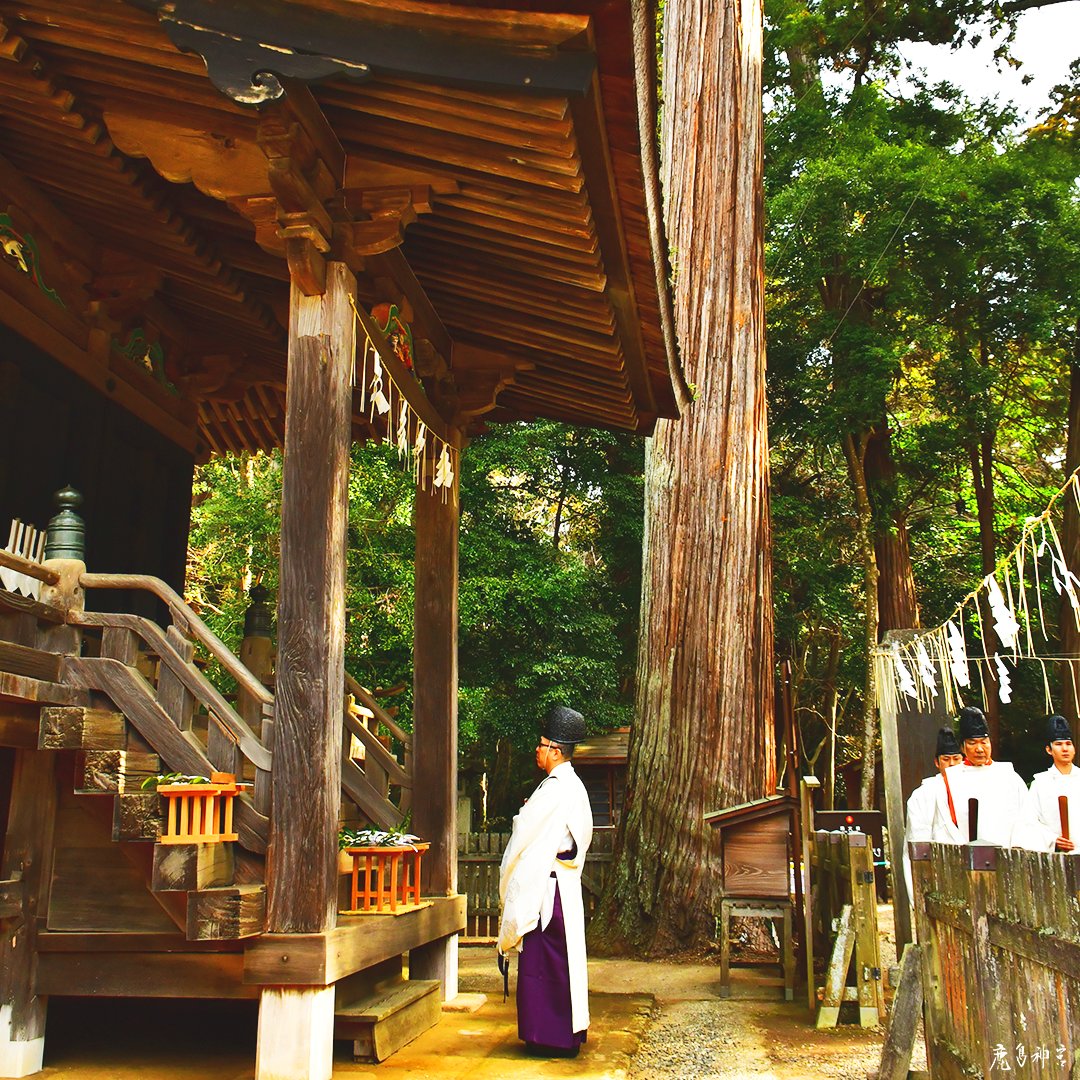 鹿島神宮/kashima-jingu【公式】 tweet media
