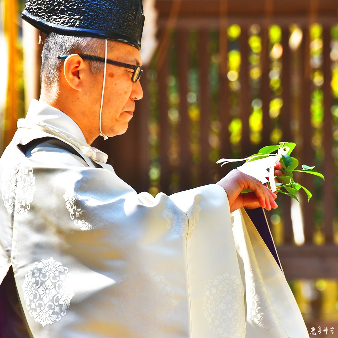 鹿島神宮/kashima-jingu【公式】 tweet media