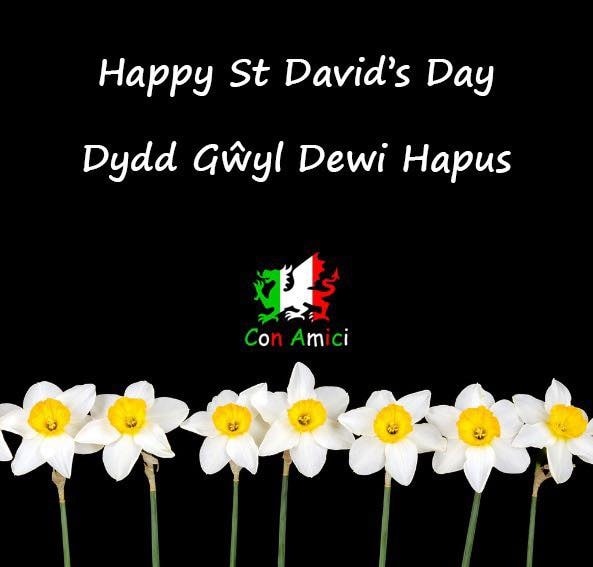 We would like to wish you all a happy St David's Day 🏴󠁧󠁢󠁷󠁬󠁳󠁿 #dydddewisanthapus #northwales