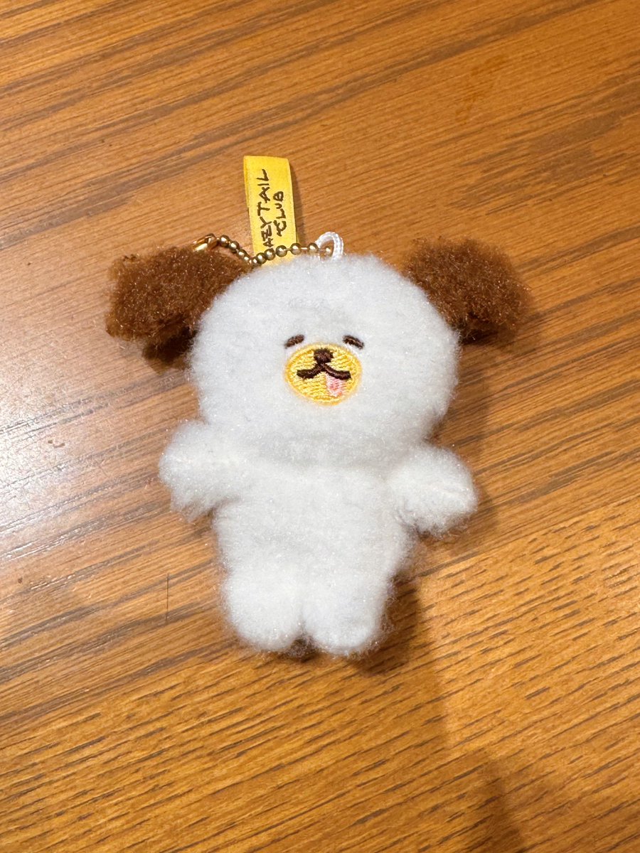 an7panman's tweet photo. オリバー🐶お迎えしたよ˶>ᴗ<˶

#LAZYTAILCLUB https://t.co/Yk8dd9M8o2