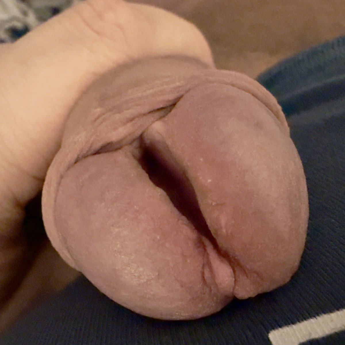 SplitToObey tweet media