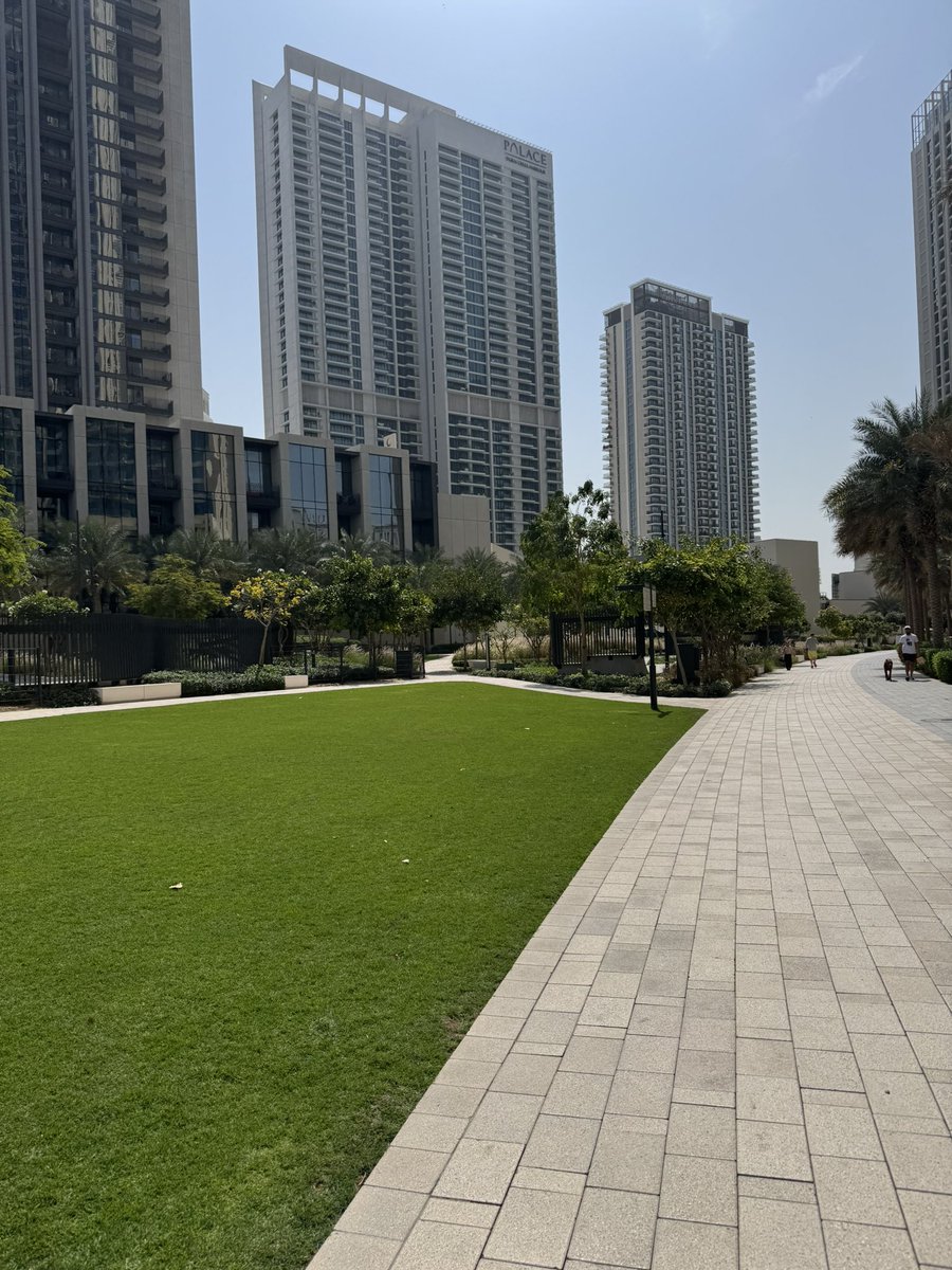 JAMES 🟡 tweet media