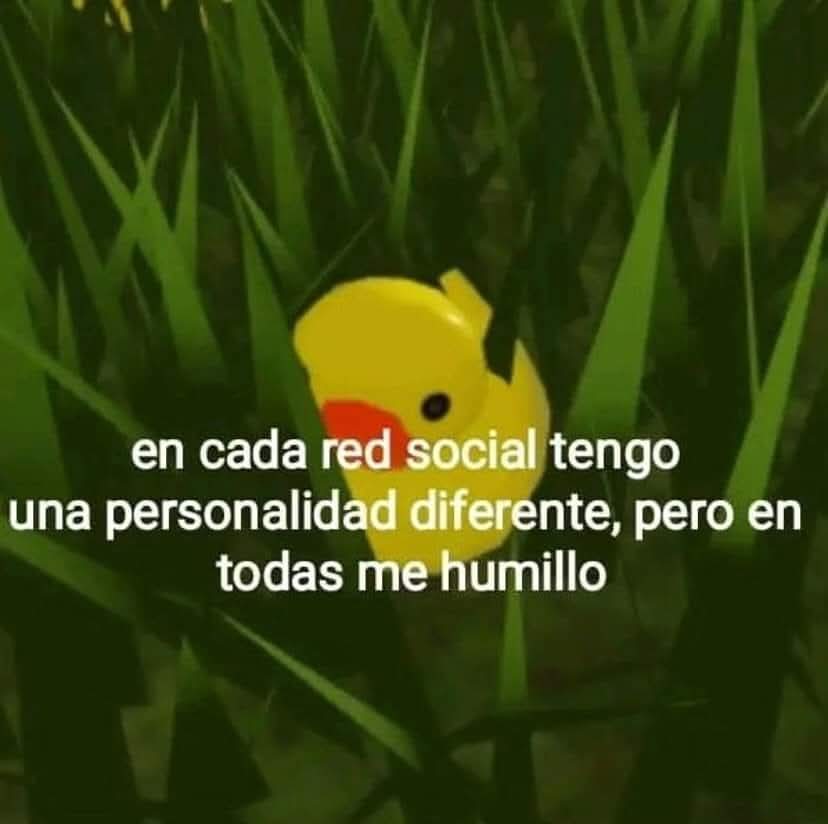 En Júpiter (@en_jupiter_) on Twitter photo 