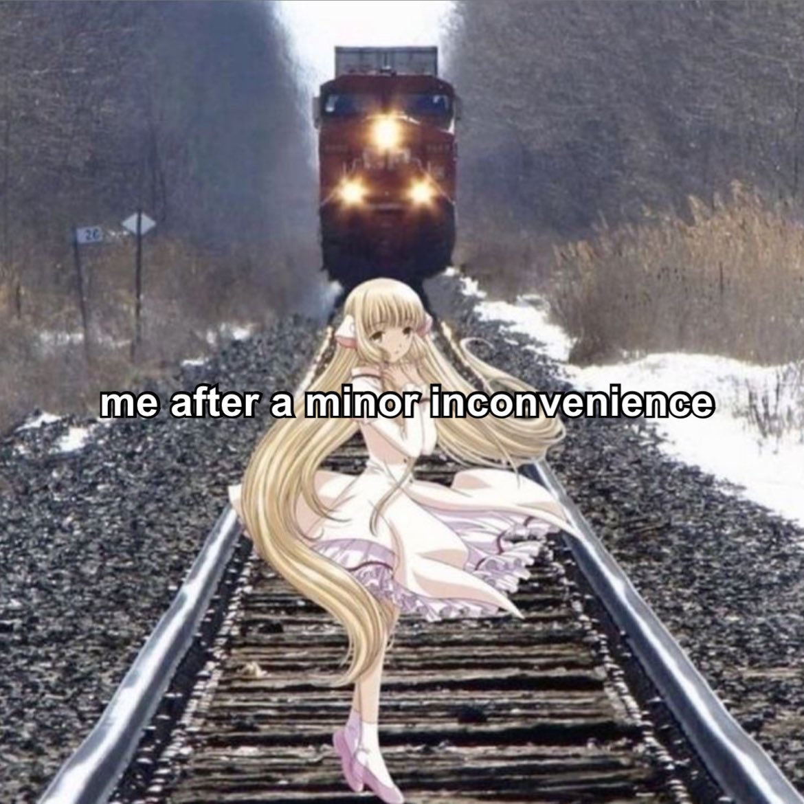 nova (@comfypill) on Twitter photo 