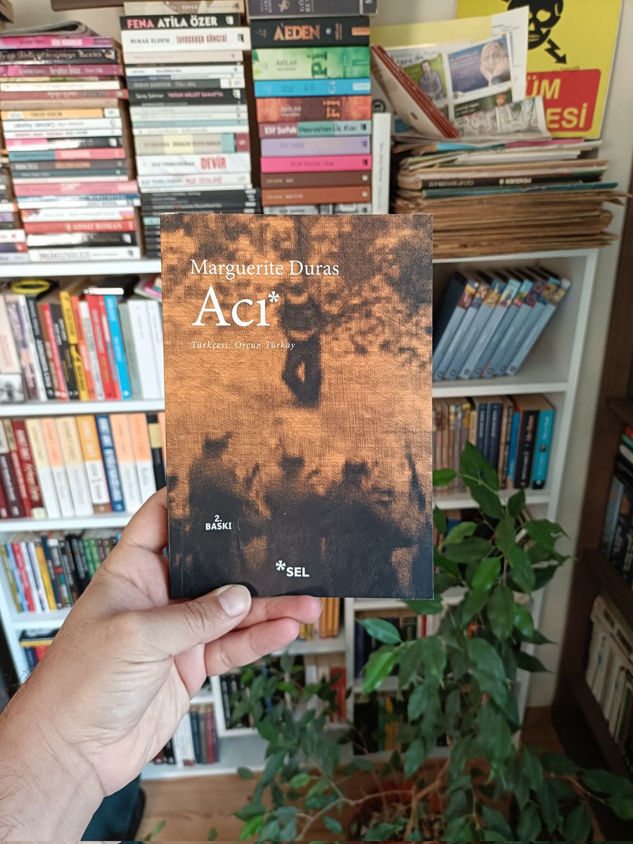 Haydar Aygün tweet media