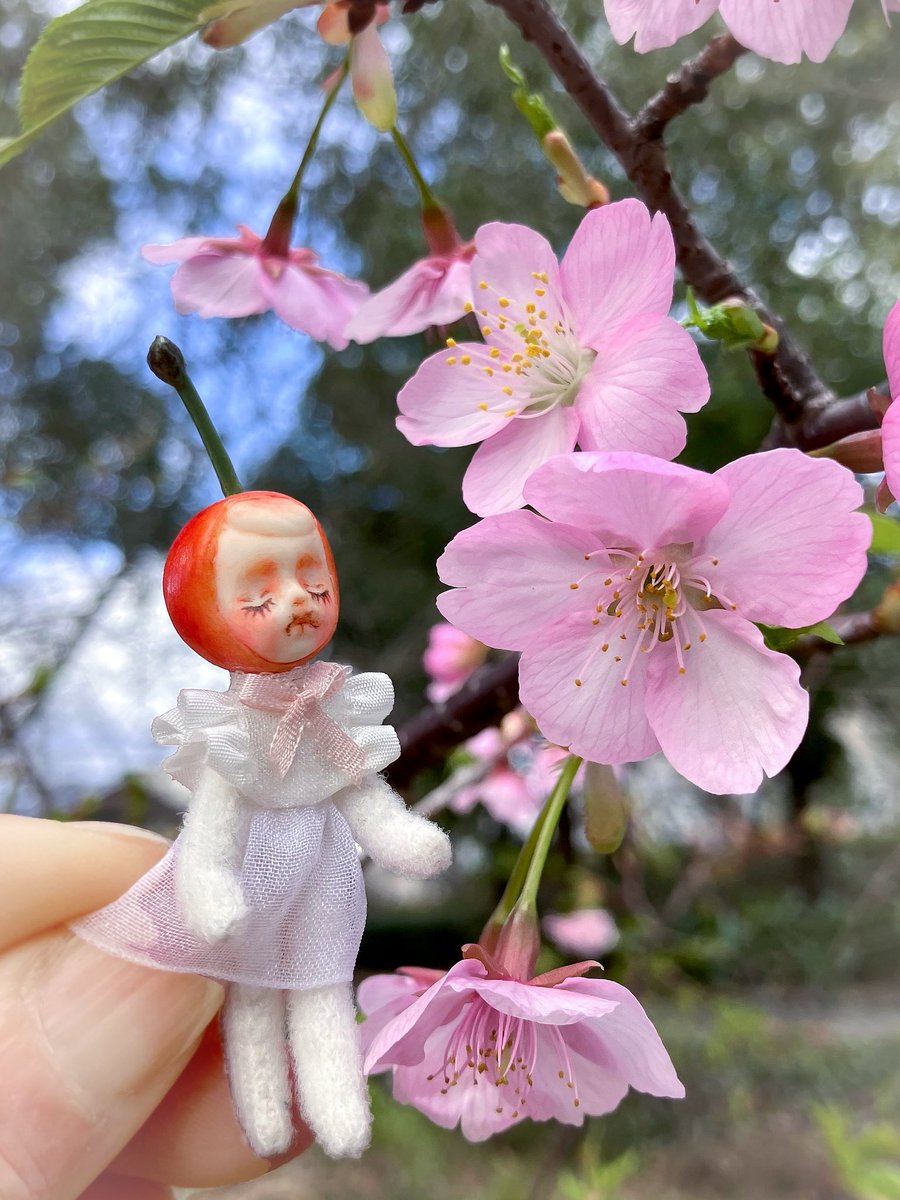 to.ri.co (@torico7) / Posts / X