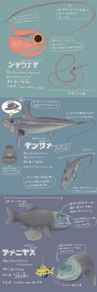 #3月になったのでフォロワーさんに自己紹介しようぜ
#春の創作クラスタフォロー祭り

サメ中心に海洋生物を描いてます✌️
紹介風に描いたり創造豊かに自由に描いたりしてます！