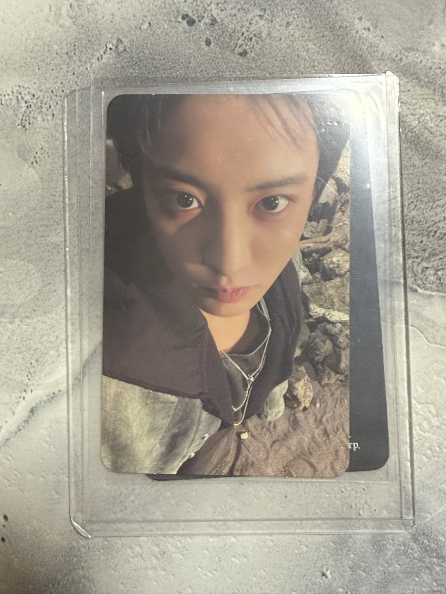 거래하는냥이 tweet media