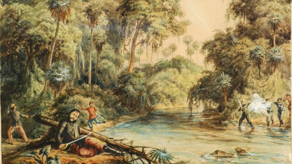 Nathan Seastrand tweet media