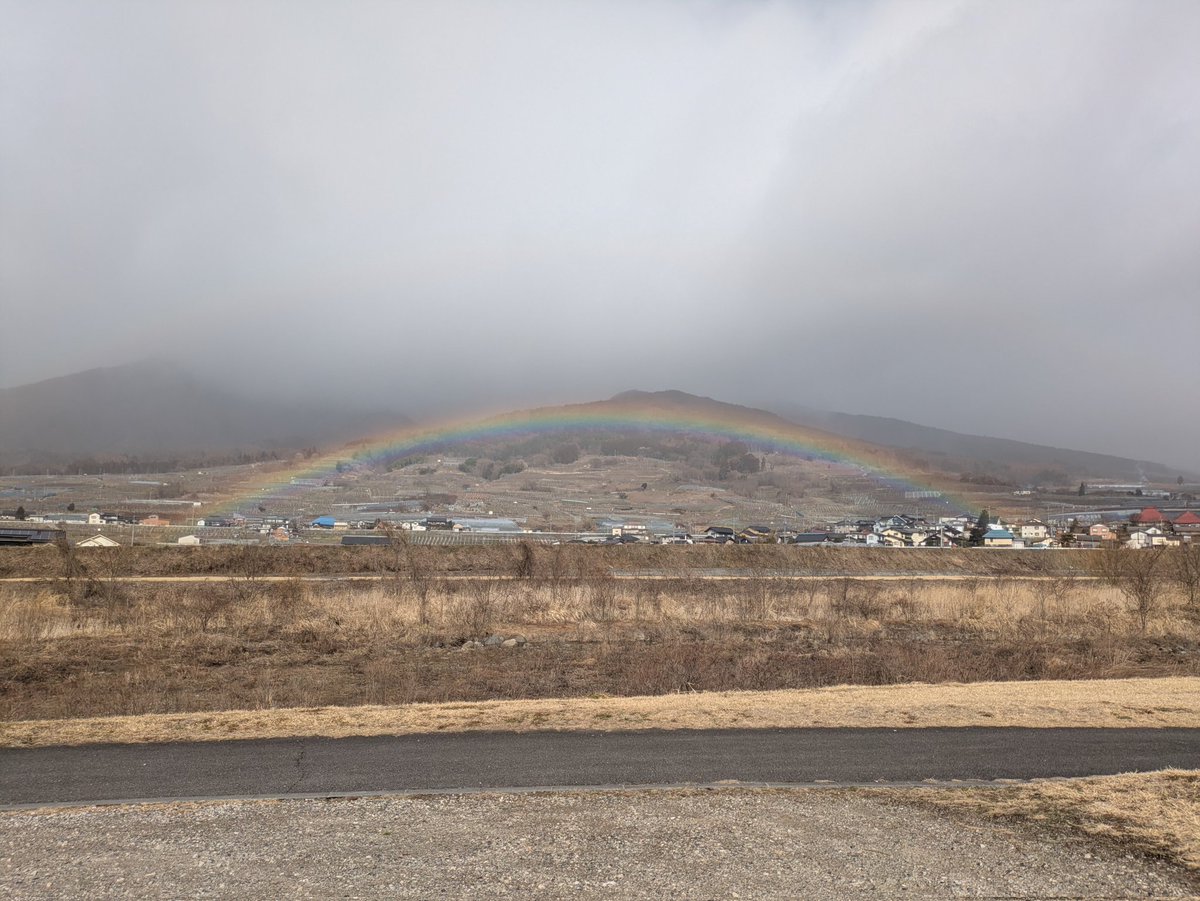 ヤトー tweet media